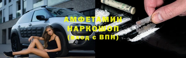 шишки Беломорск