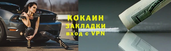 шишки Беломорск