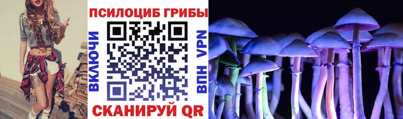 Галлюциногенные грибы Magic Shrooms  блэк спрут зеркало  Южа 